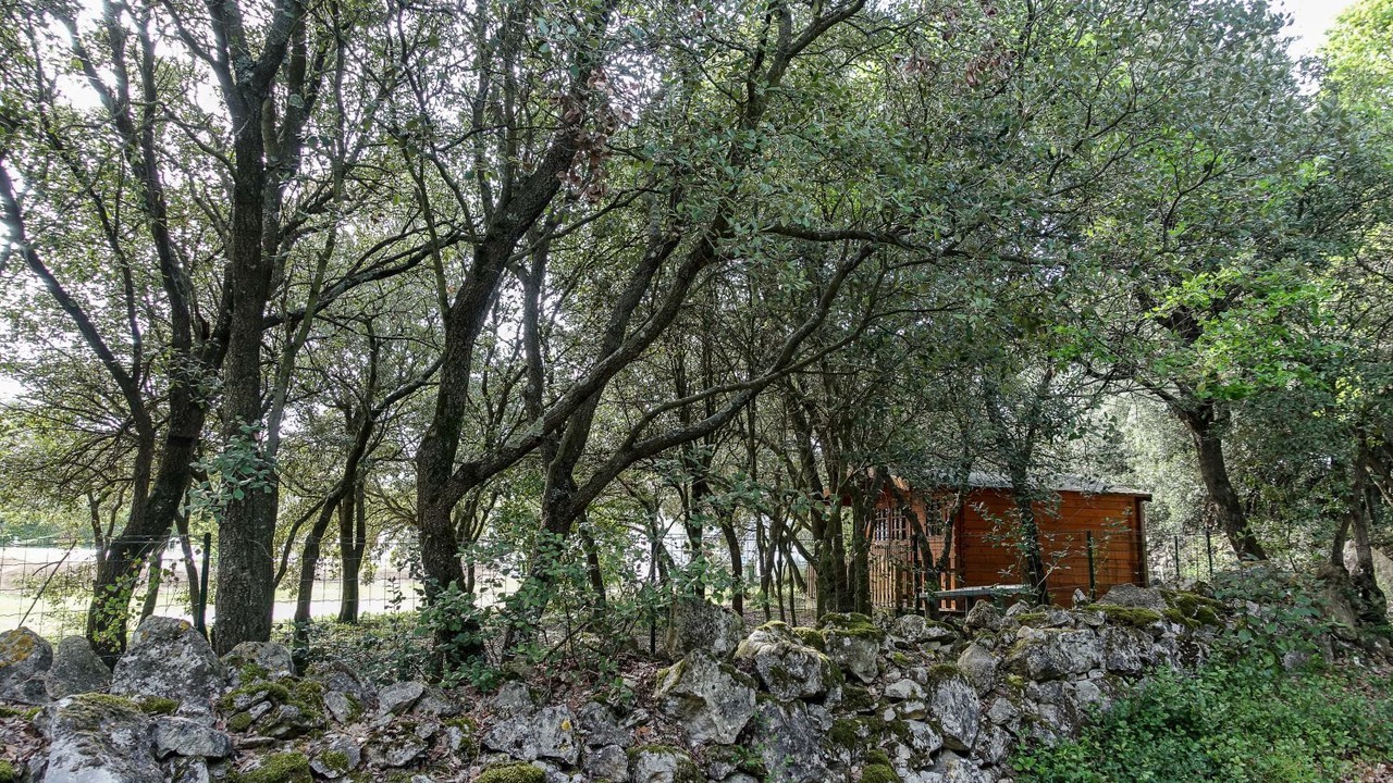 Photo of Outdoor in Ventenac-Cabardes