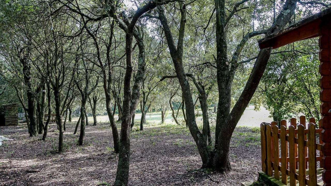 Photo of Outdoor in Ventenac-Cabardes