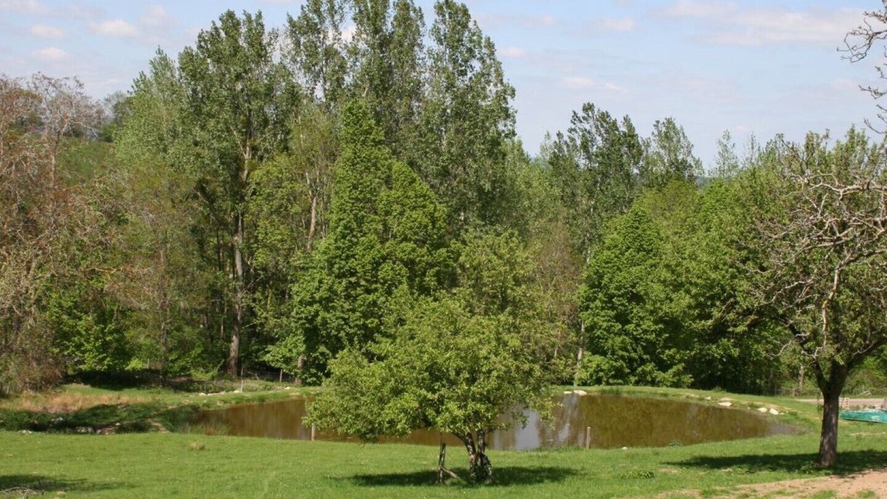 Photo of Outdoor in Saint-Martin-la-Sauvete
