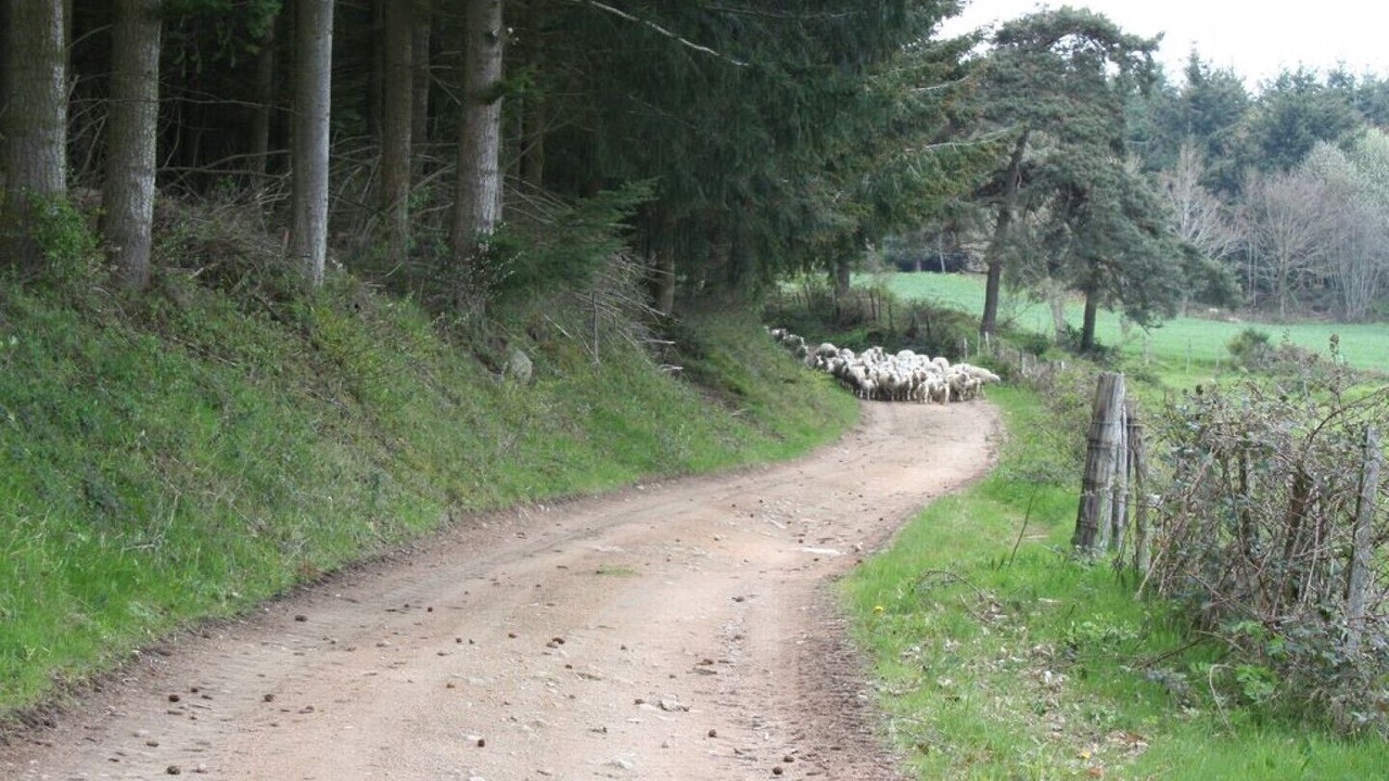 Photo of Outdoor in Saint-Martin-la-Sauvete