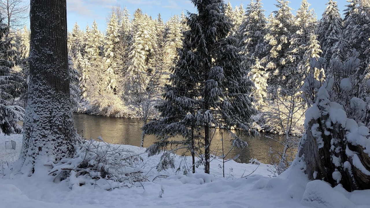 Photo of Outdoor in Riverbend