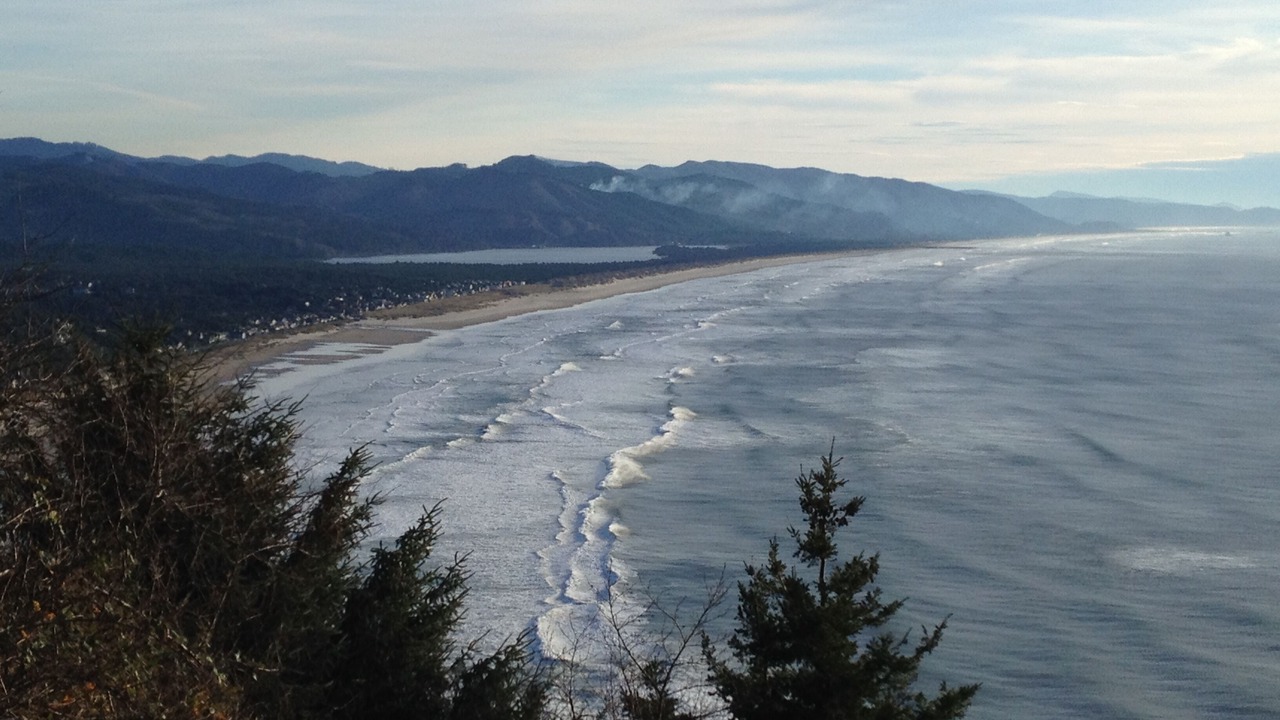 Photo of Others in Manzanita