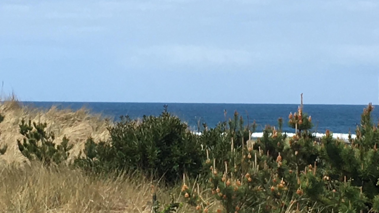 Photo of Others in Manzanita