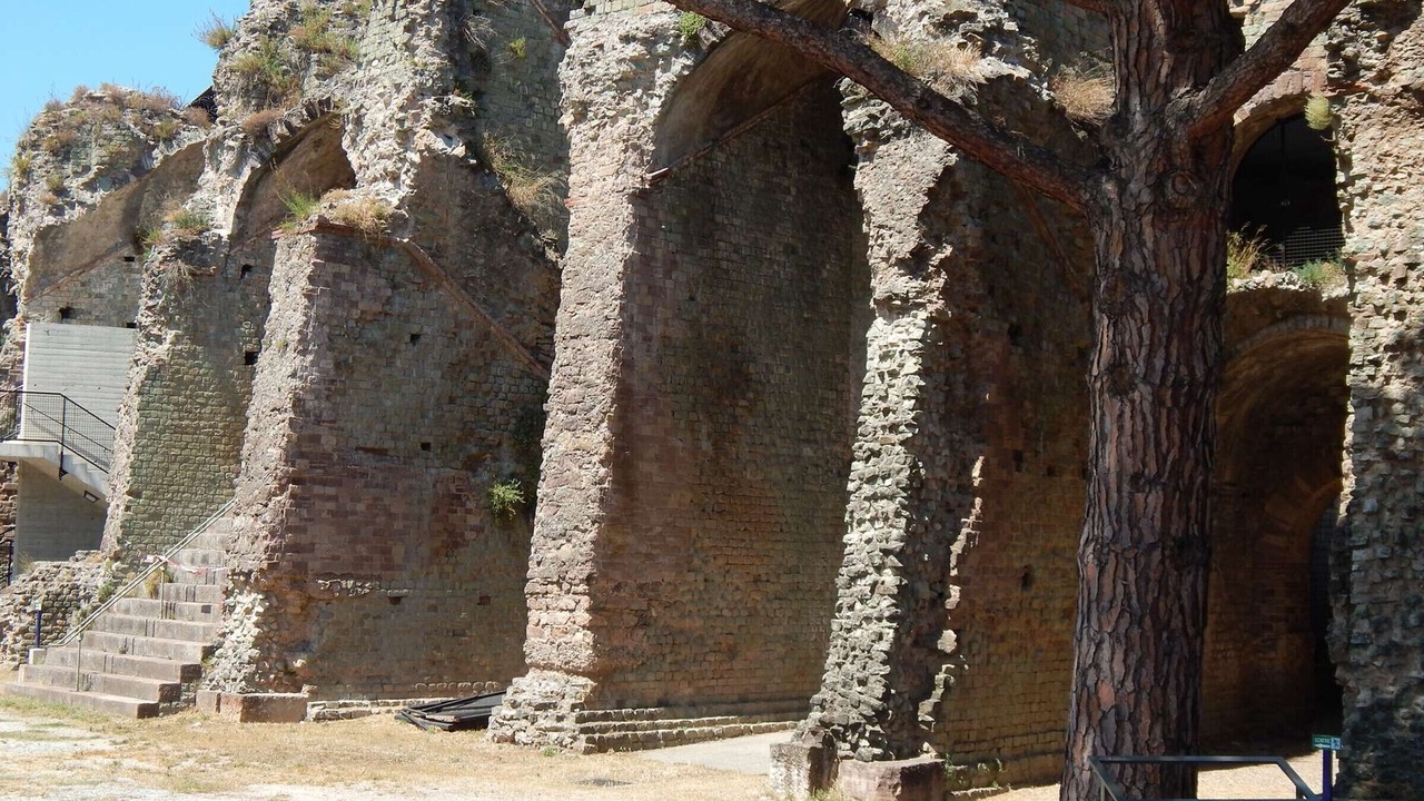 Photo of Others in Frejus