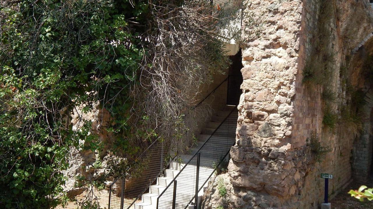 Photo of Outdoor in Frejus