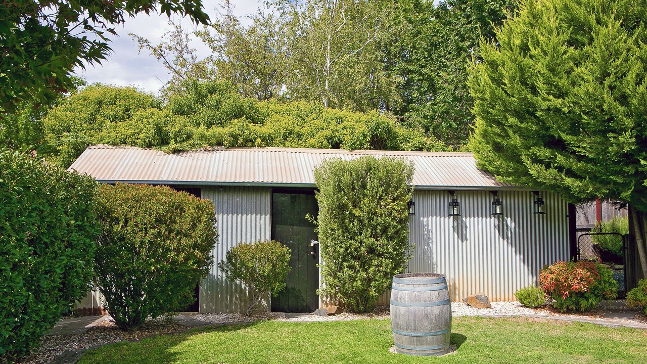 Photo of Others in Orange