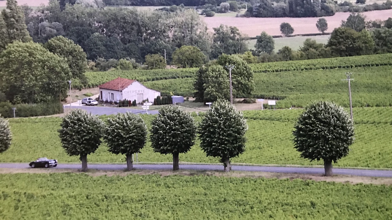 Photo of Outdoor in Sancerre