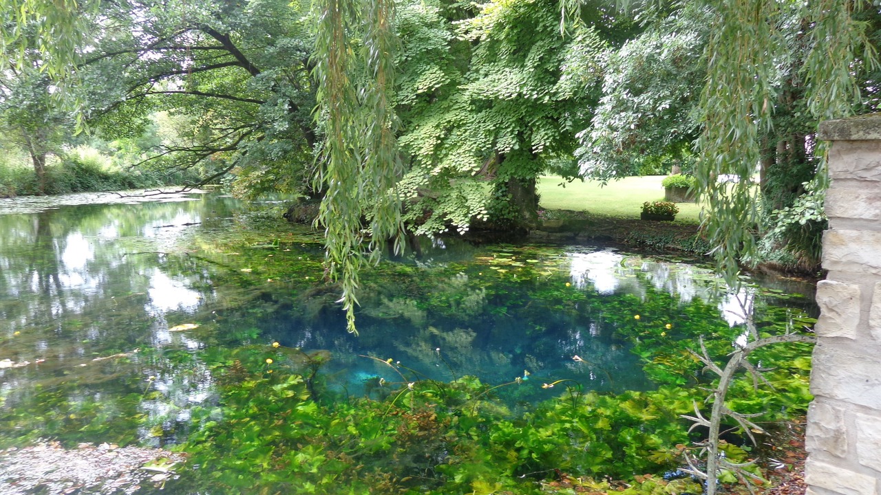 Photo of Others in Gensac-la-Pallue