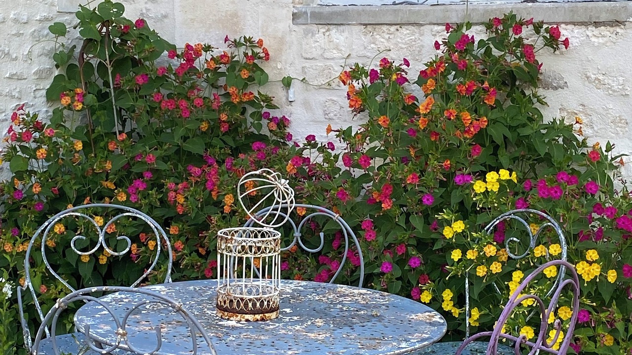 Photo of Outdoor in Gensac-la-Pallue