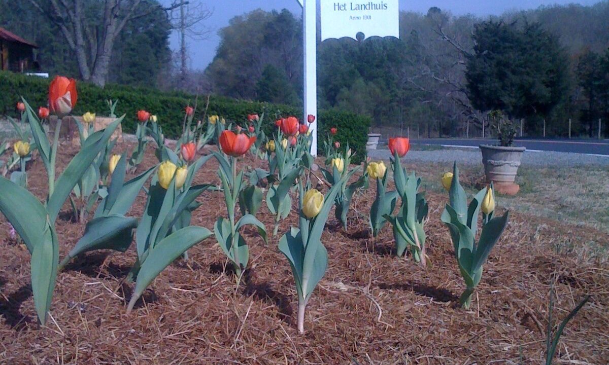 Photo of Outdoor in Bynum