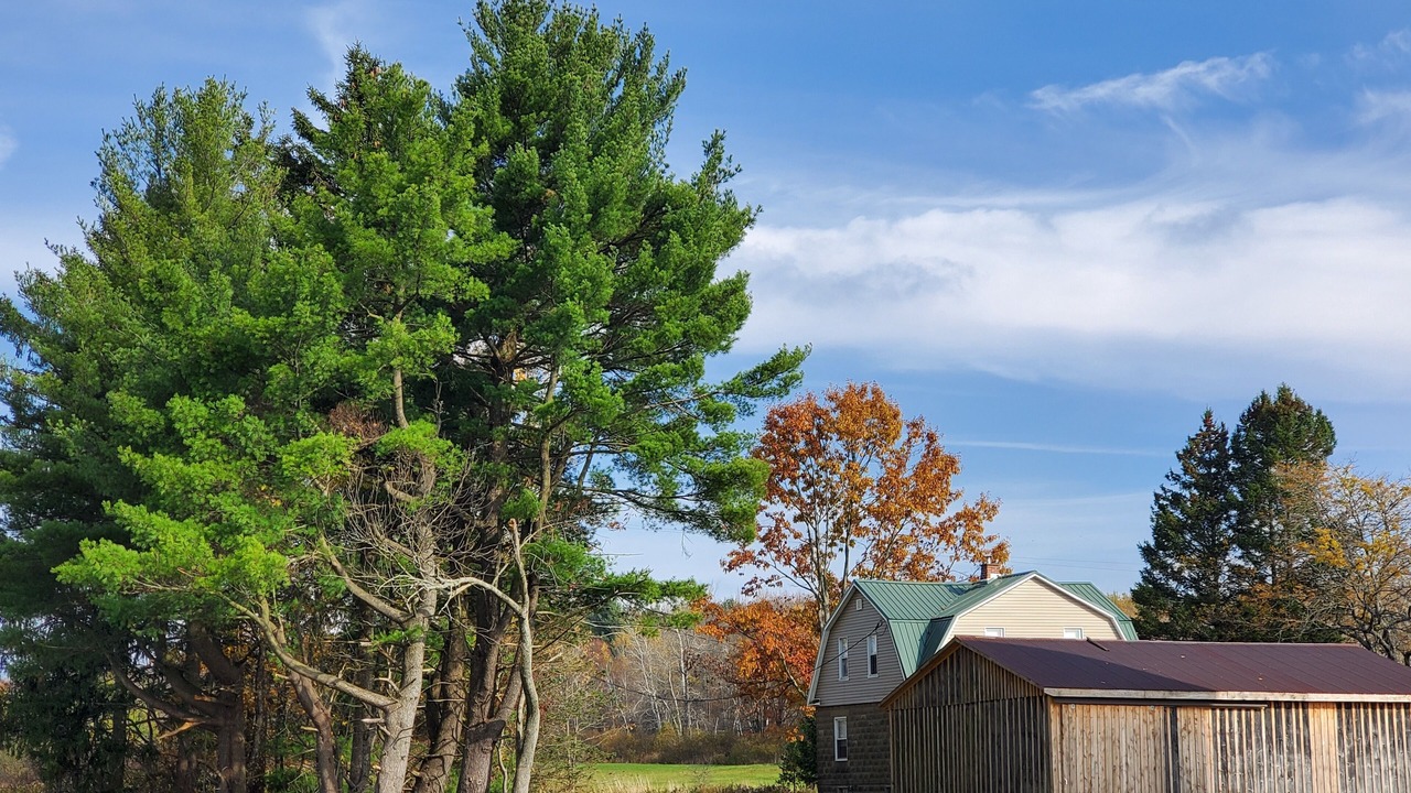 Photo of Outdoor in Falconer