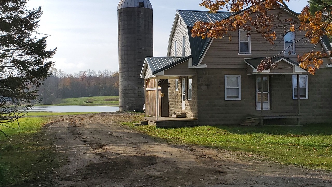 Photo of Outdoor in Falconer