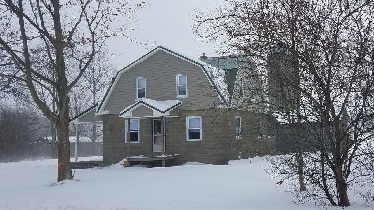 Photo of Outdoor in Falconer