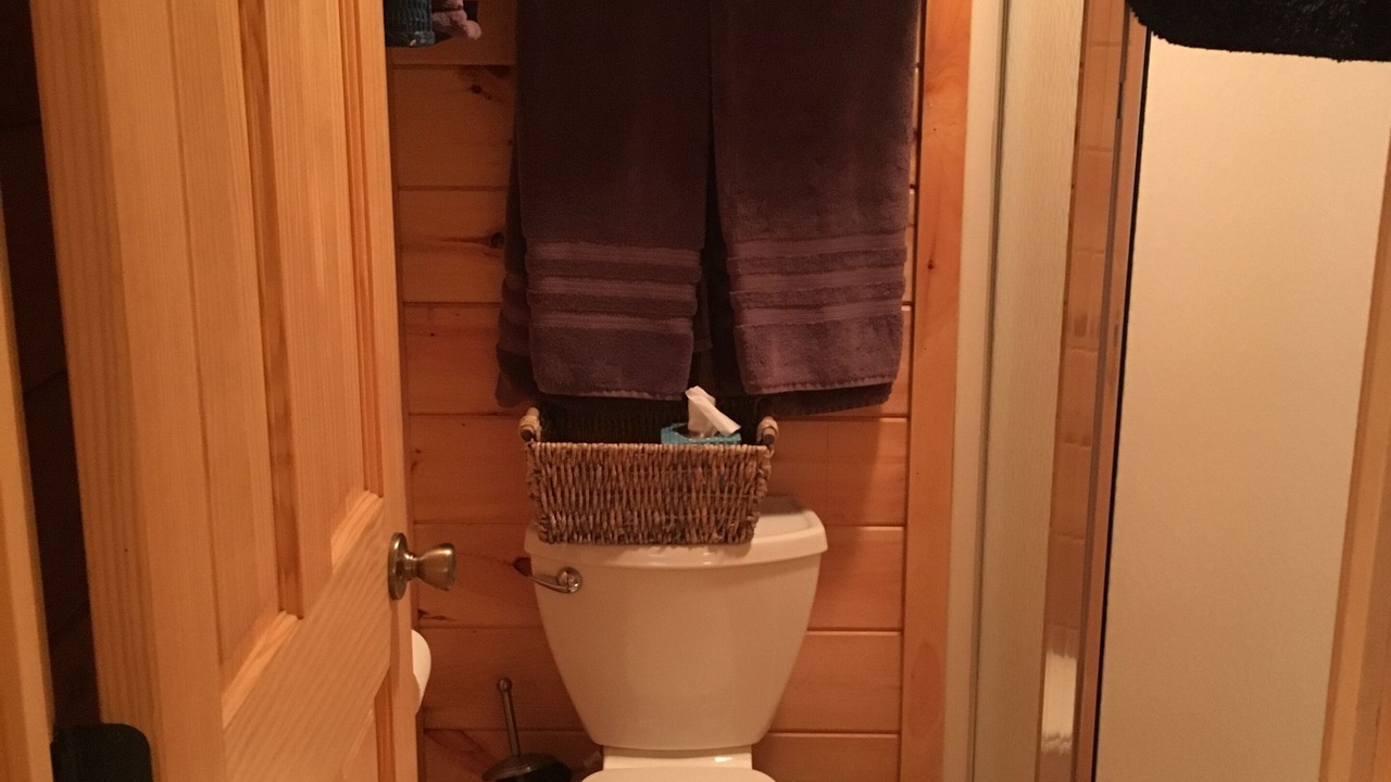 Photo of Bathroom in Trumansburg