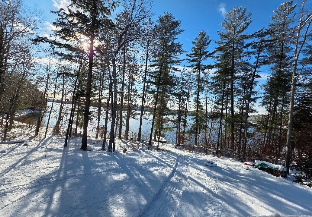 Photo of Outdoor in Dysart et al