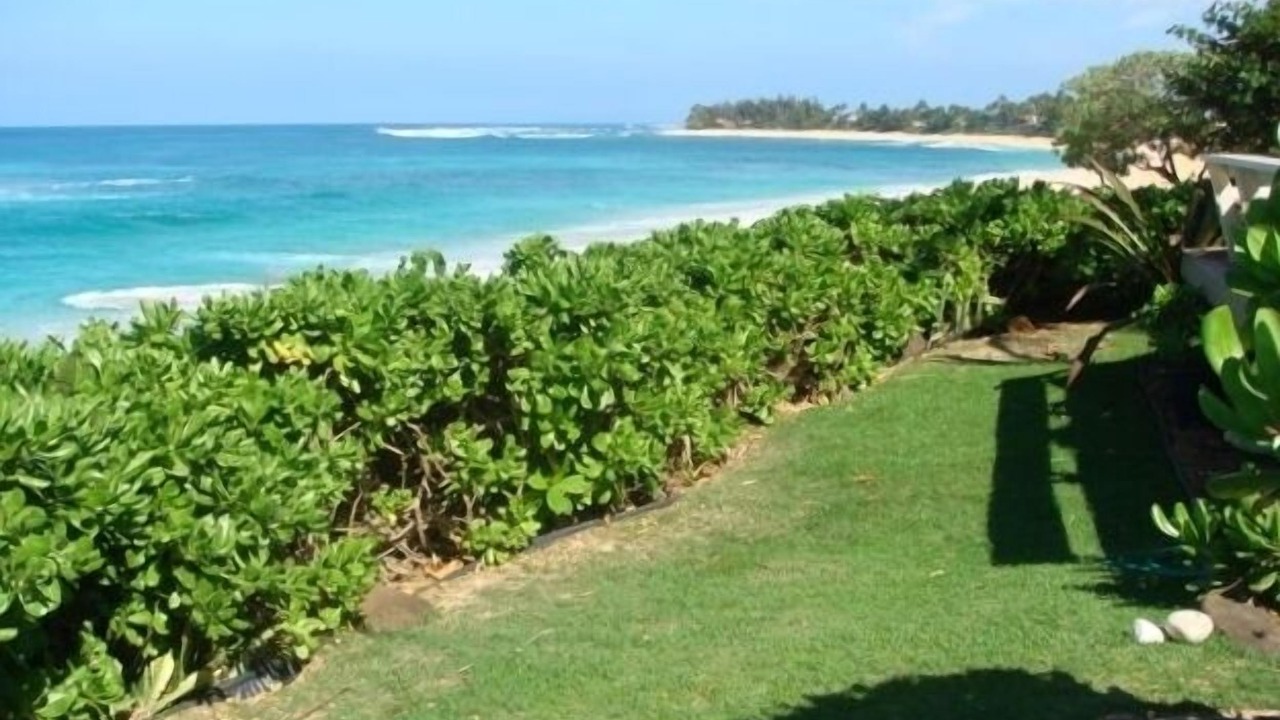 Photo of Others in Pupukea