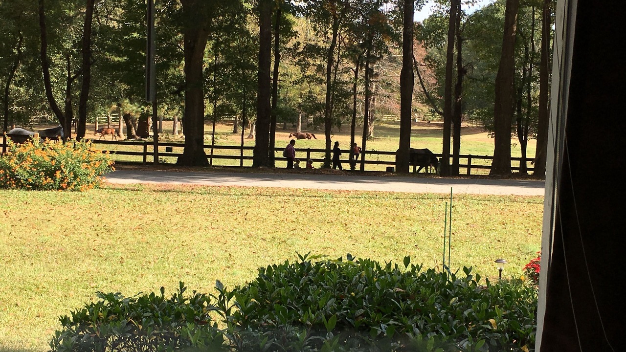 Photo of Bedroom in Greater Valley Brook