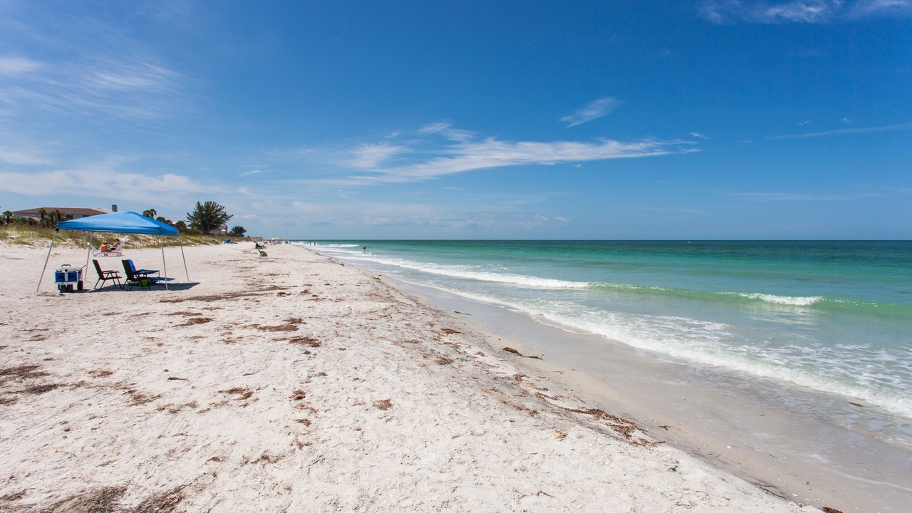 Photo of Others in Indian Shores