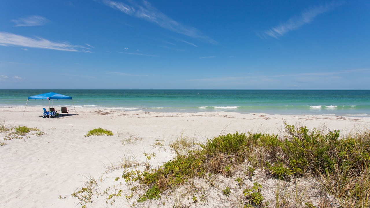 Photo of Others in Indian Shores