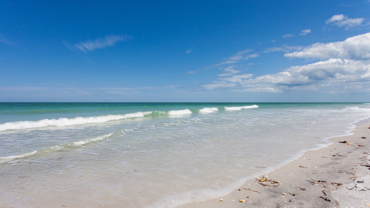 Photo of Others in Indian Shores