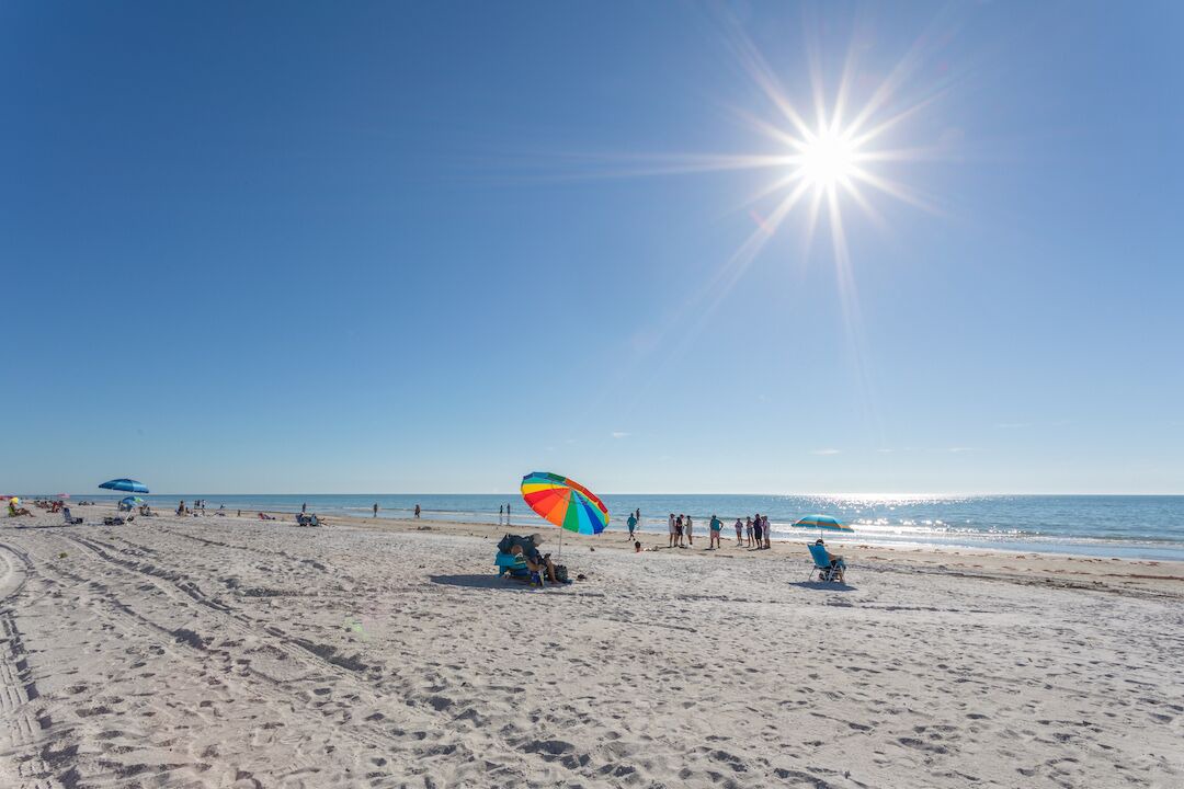 Photo of Others in Indian Shores