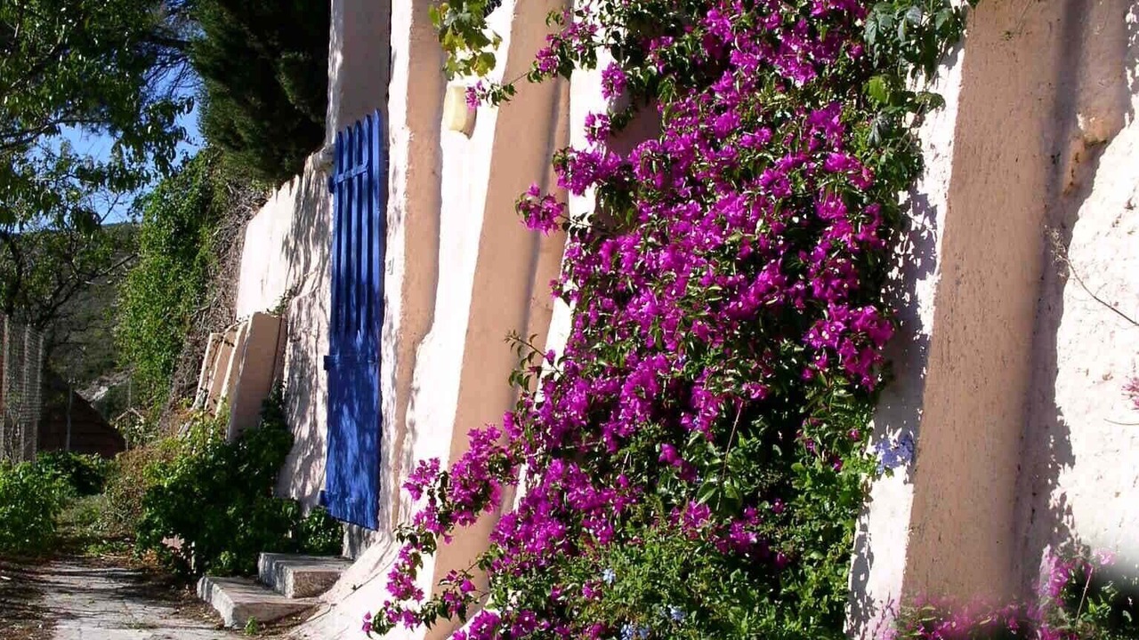 Photo of Outdoor in Verduron
