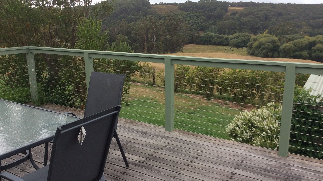 Photo of Outdoor in Forrest