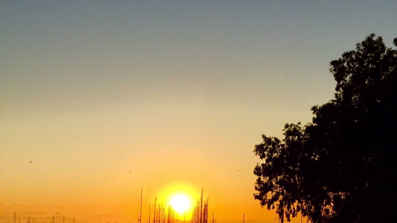 Photo of Outdoor in Williamstown