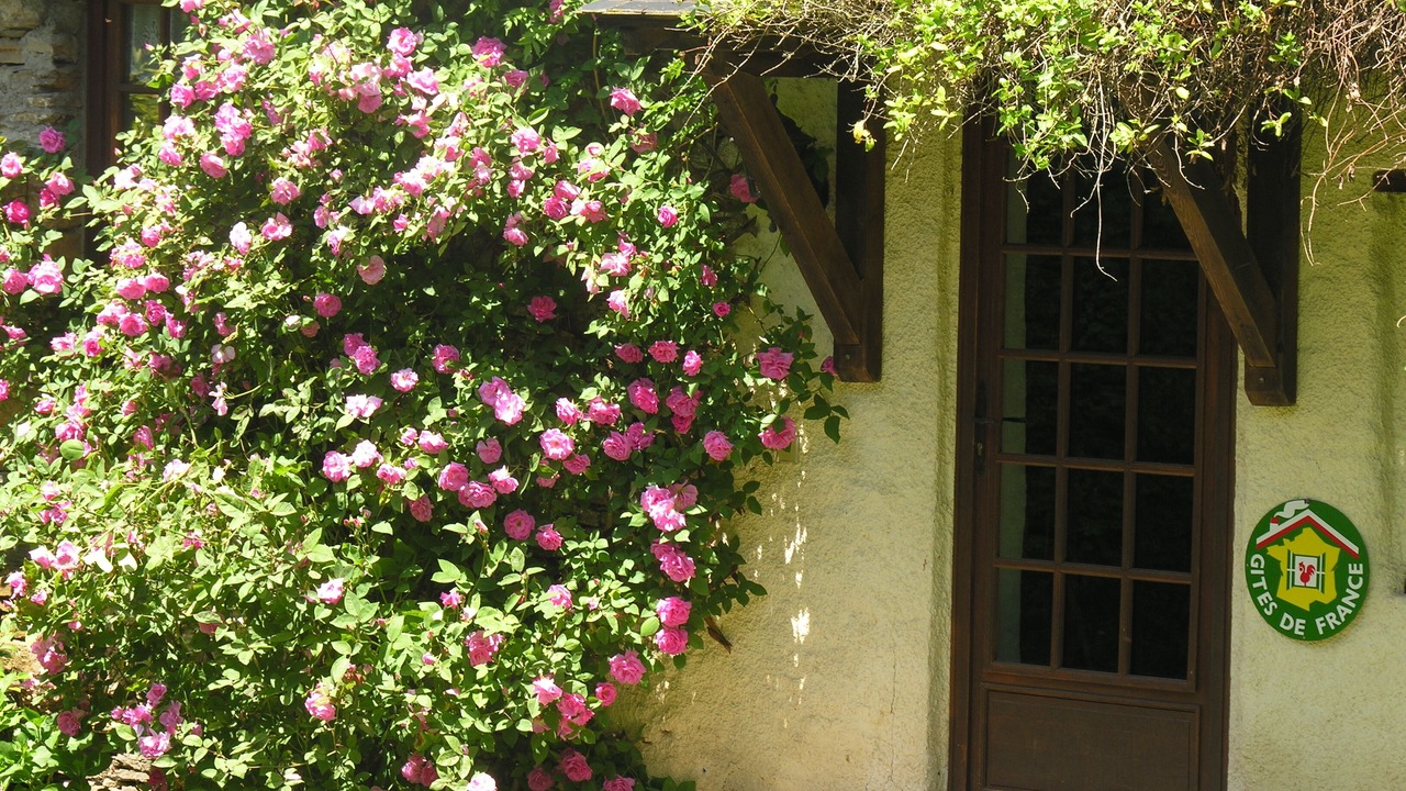 Photo of Outdoor in Oust