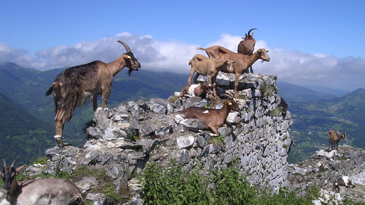 Photo of Others in Oust