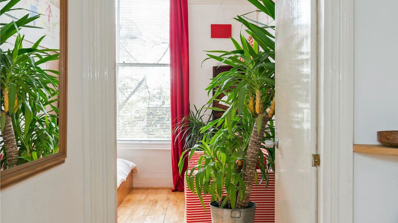 Photo of Bedroom in Notting Hill
