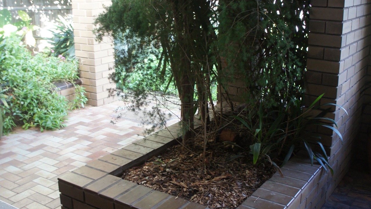 Photo of Outdoor in Traralgon