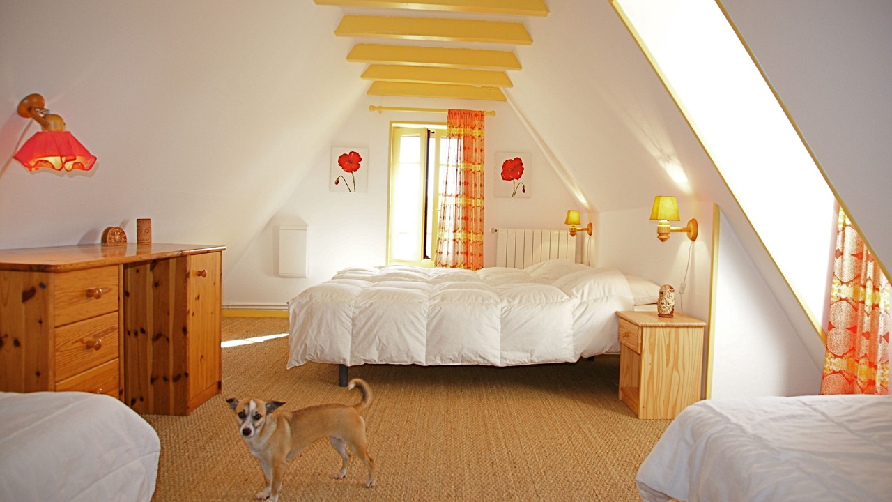 Photo of Bedroom in Cales