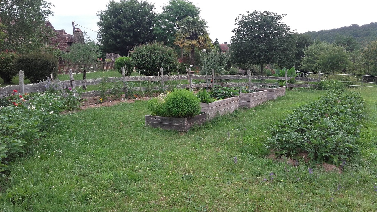 Photo of Outdoor in Cales