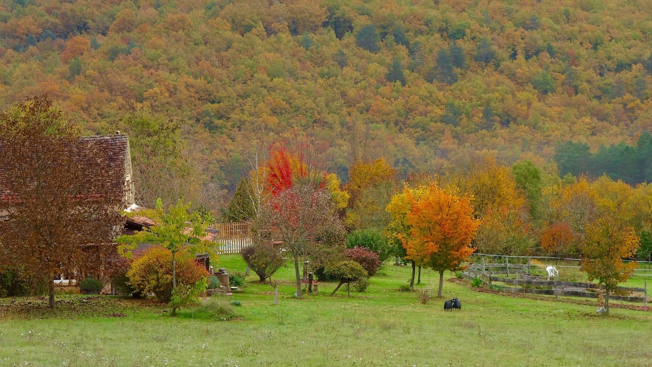 Photo of Outdoor in Cales