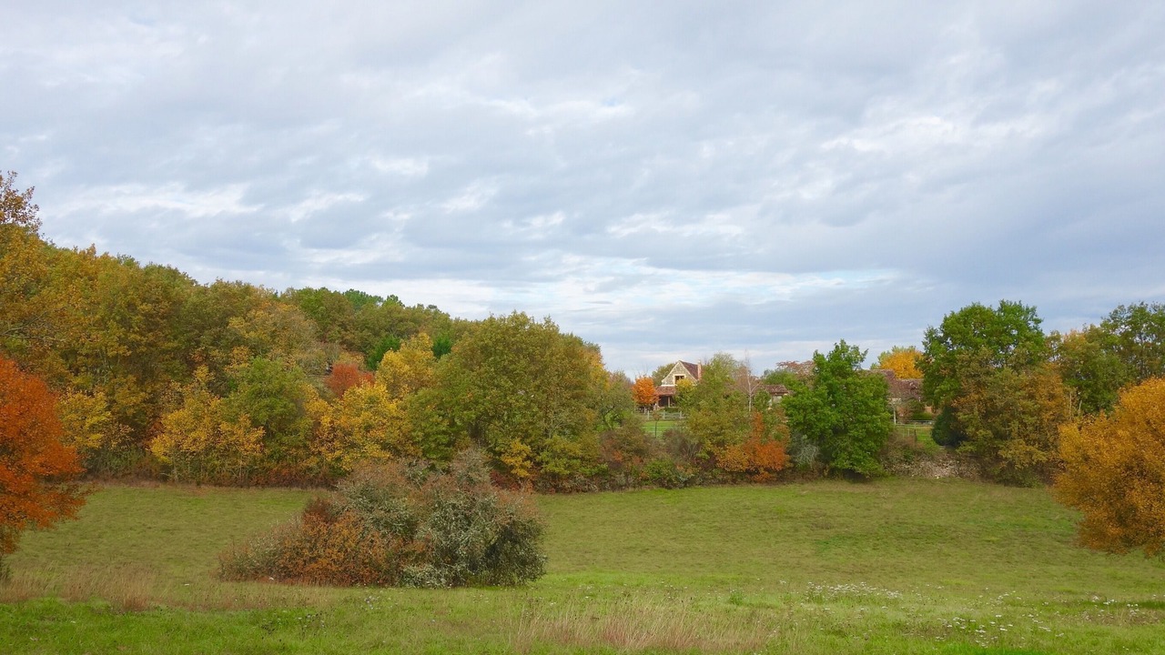 Photo of Outdoor in Cales
