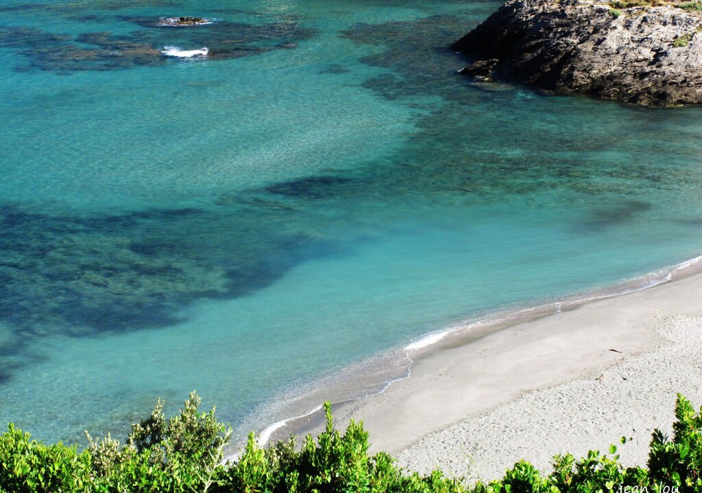 Photo of Others in Sisco