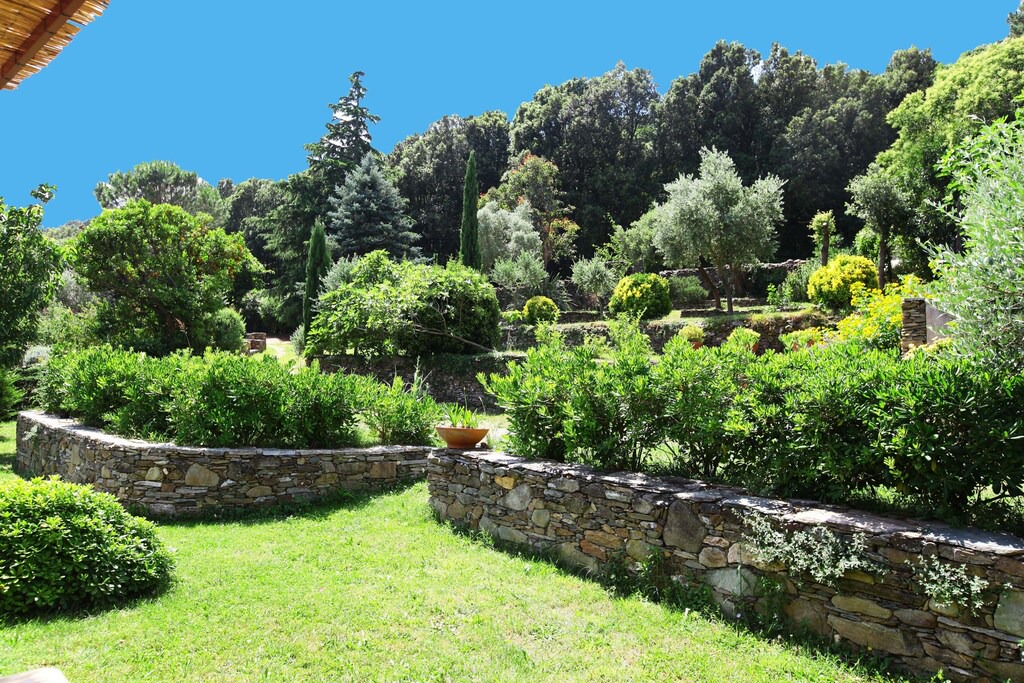 Photo of Others in Sisco