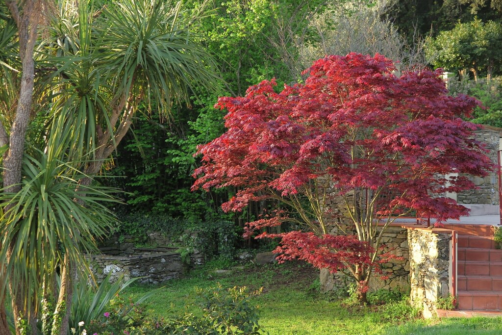 Photo of Others in Sisco