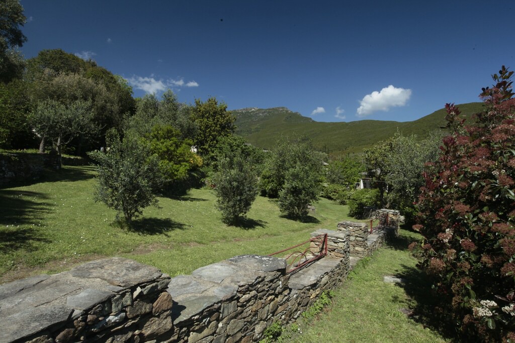 Photo of Others in Sisco