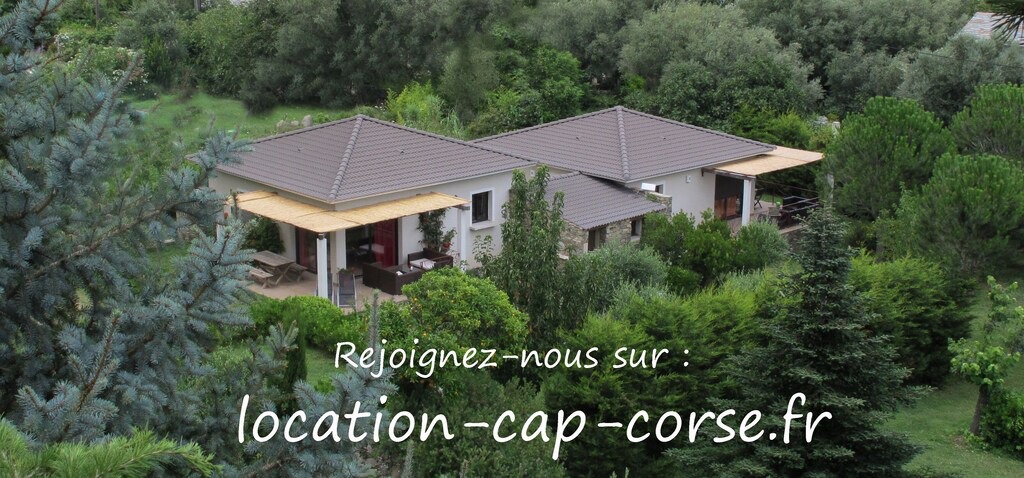 Photo of Others in Sisco