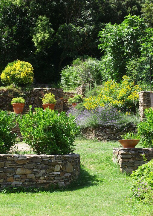 Photo of Others in Sisco