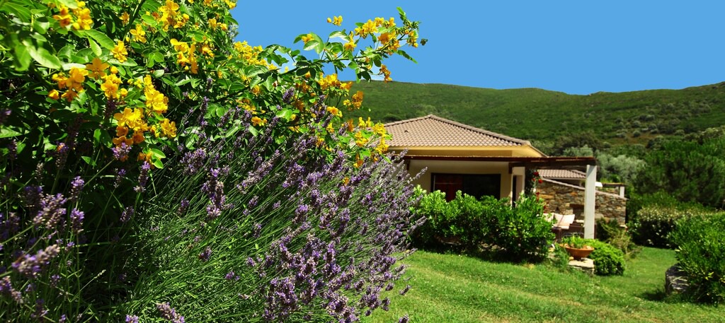 Photo of Others in Sisco