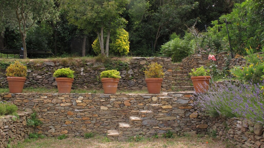 Photo of Others in Sisco