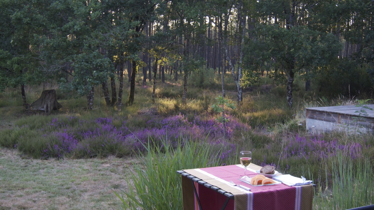 Photo of Outdoor in Herm