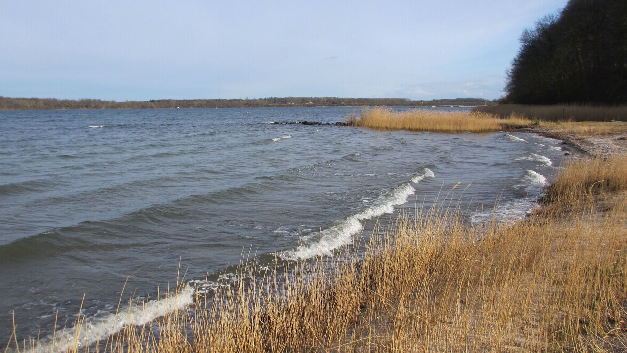 Photo of Others in Sønderborg