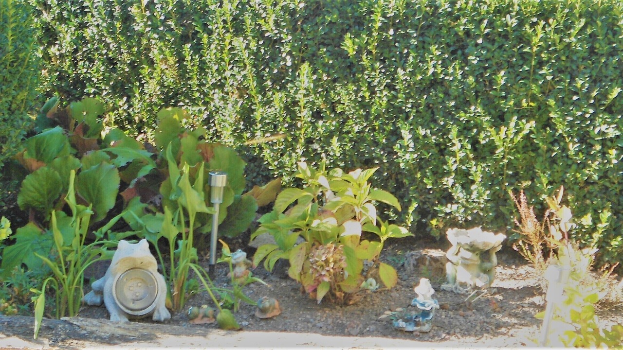 Photo of Outdoor in La Roche-en-Brenil