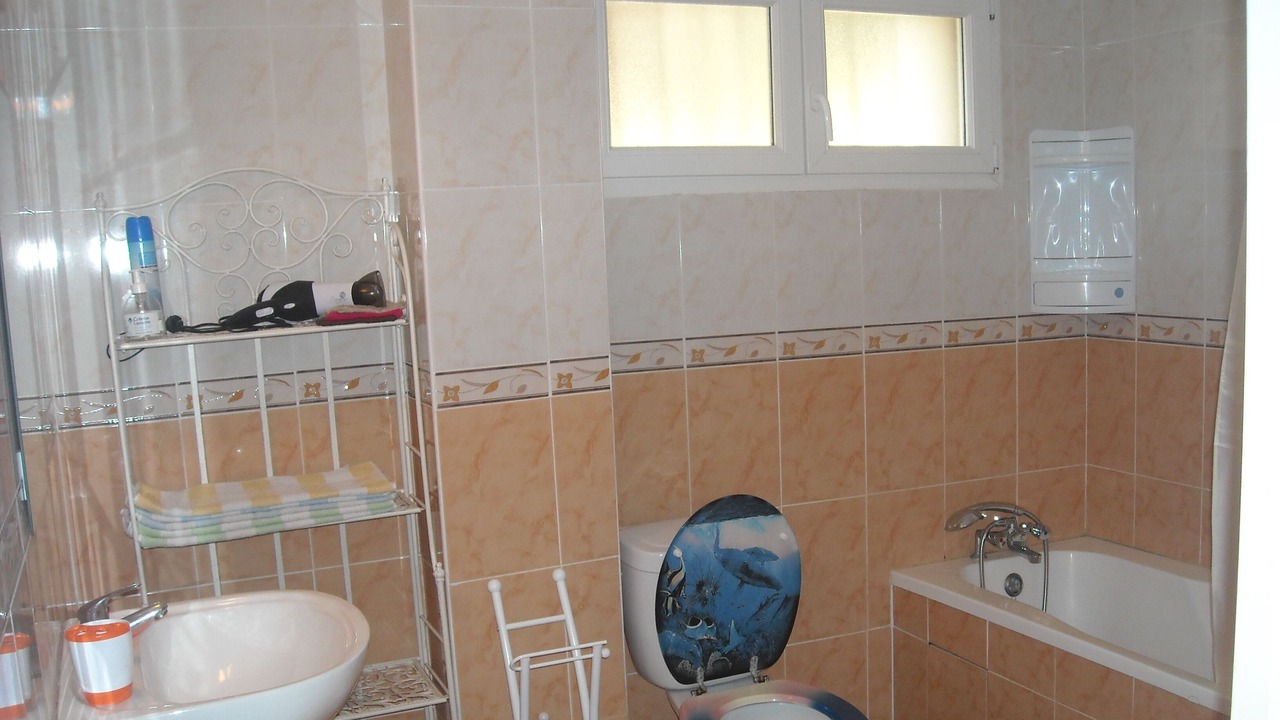 Photo of Bathroom in Perpignan