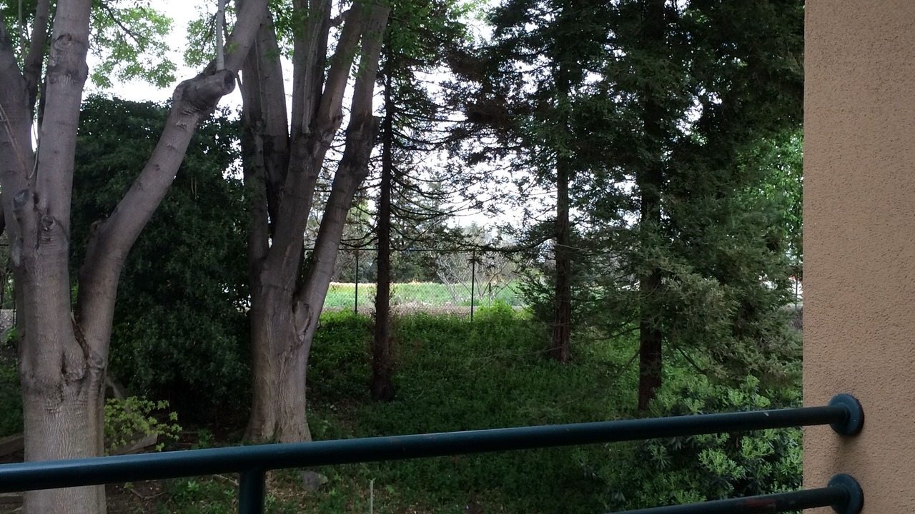 Photo of Outdoor in Stockton
