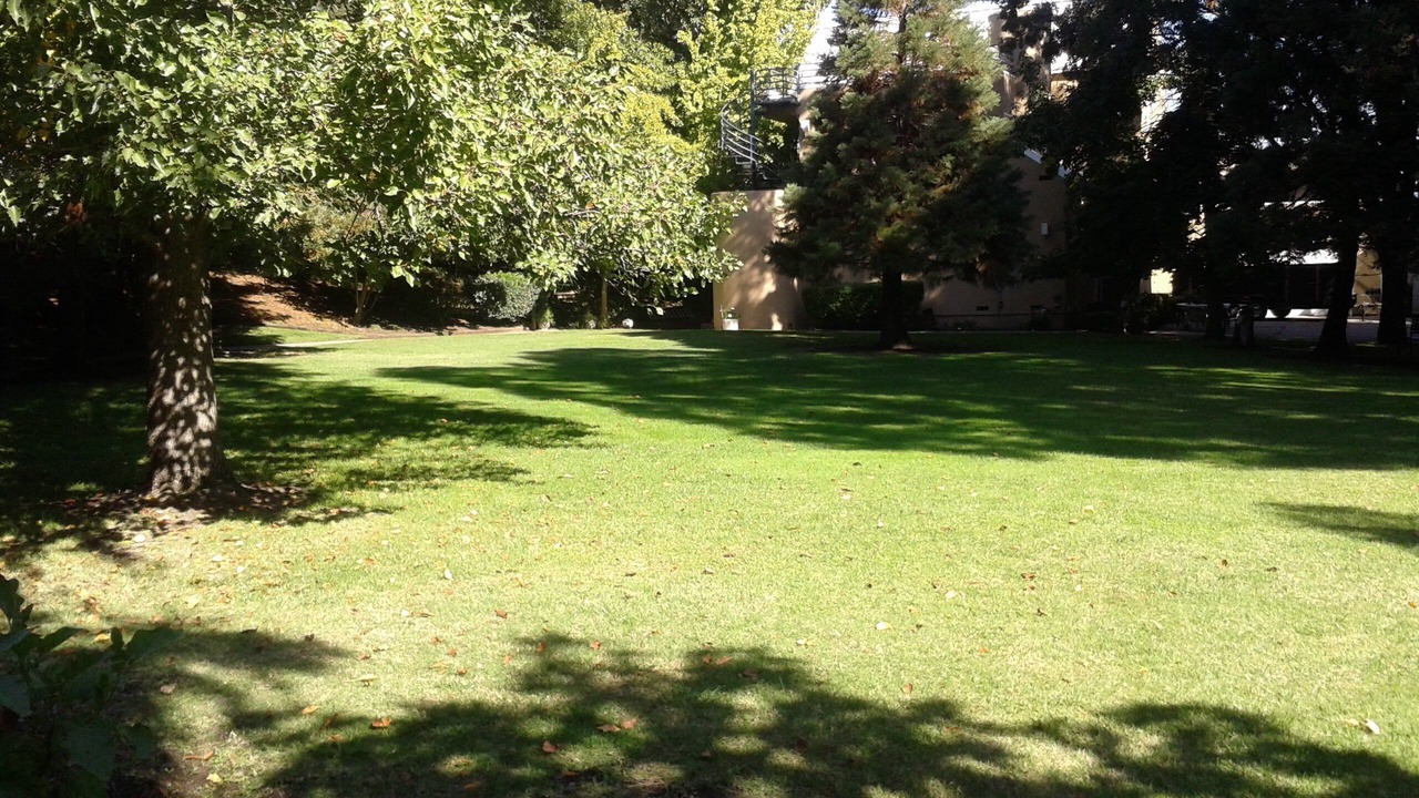 Photo of Outdoor in Stockton
